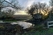 Duck Blind Photograph by Jon Exley