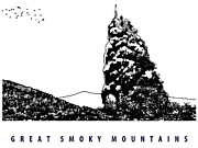 Duck Hawk Peak, Great Smoky Mountains Digital Art by Long Shot