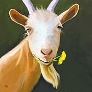 Dude Painting by Tammy Lee Bradley