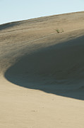 Dune Photograph by Melissa Southern