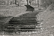 Durand Stairs Photograph by Regina Muscarella Durand Stairs Photograph by Regina Muscarella