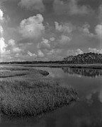 Dutton Island Marsh, 2005 Photograph by John Simmons Dutton Island Marsh, 2005 Photograph by John Simmons