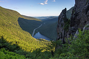 Eaglet Summer Photograph by White Mountain Images