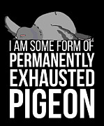 Early Bird Night Owl Exhausted Pigeon  Drawing by Noirty Designs
