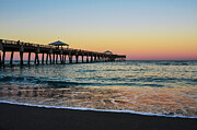 Early Birds at Juno Pier Photograph by Laura Fasulo Early Birds at Juno Pier Photograph by Laura Fasulo