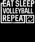 Eat Sleep Volleyball Digital Art by Flippin Sweet Gear