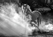 Eating Dust. Photograph by Paul Martin Eating Dust. Photograph by Paul Martin