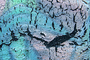 Ebb and Flow Photograph by Marilyn Cornwell Ebb and Flow Photograph by Marilyn Cornwell
