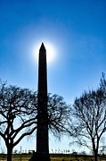 Eclipse on the Ellipse #2 Photograph by Addison Likins Eclipse on the Ellipse #2 Photograph by Addison Likins