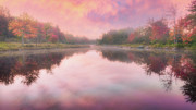 Eden 2 Photograph by Thomas Hall