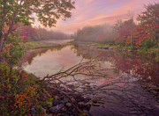 Eden 3 Photograph by Thomas Hall
