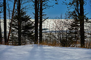 Edge of Spring Photograph by Doug Gibbons