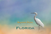Egret Bayonet Point FL Mixed Media by Elisabeth Lucas
