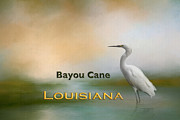 Egret Bayou Cane LA Mixed Media by Elisabeth Lucas