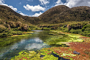 El Manantial springs Photograph by Henri Leduc