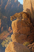 El Tigre Painting by Al Agnew El Tigre Painting by Al Agnew