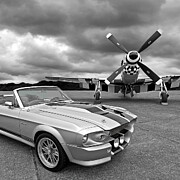 Eleanor Mustang with P51 Black and White Photograph by Gill Billington