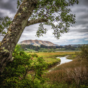 Elephant Mountain from Inverness Photograph by Donald Kinney