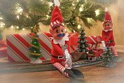Elf in Trouble Photograph by Darrell Foster