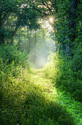 Enchanting Photograph by Brad Bellisle Enchanting Photograph by Brad Bellisle