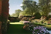 English Garden #2 Digital Art by Sterling and Thorn