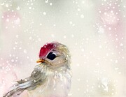 Enjoying the Snow Painting by Dawn Derman Enjoying the Snow Painting by Dawn Derman