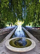 Entry to the Walled Garden Photograph by Annalisa Rivera-Franz