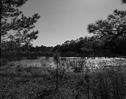 Ephemeral Pond in Black and White Photograph by L Bosco