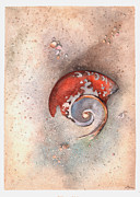 Eroded Shell Painting by Hilda Wagner