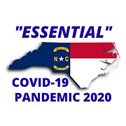 Essential 2020 Digital Art by Lee Darnell
