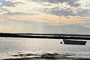 Evening Estuary Photograph by Linda Gemmill Evening Estuary Photograph by Linda Gemmill