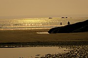 Evening Ocean Silhouettes Photograph by David Desautel Evening Ocean Silhouettes Photograph by David Desautel