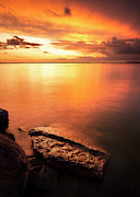 Evening Splendor Photograph by Nate Brack