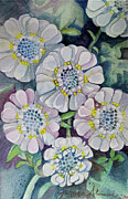 Evergreen Candytuft - 2019 Painting by JoAnna Pettit-Almasude Evergreen Candytuft - 2019 Painting by JoAnna Pettit-Almasude