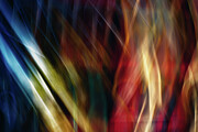 Evolution Photograph by Scott Norris