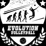 Evolution Volleyball Digital Art by Mister Tee