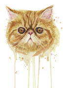 Exotic Shorthair Cat Painting Painting by Olga Shvartsur