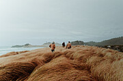 Exploring the Oregon Coast  Photograph by Alex Hinson
