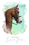 Exquisite Beauty Digital Art by Amy Dundon