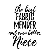 Fabric Mender Niece Funny Gift Idea for Nieces Gag Inspiring Joke The Best And Even Better Digital Art by Jeff Creation