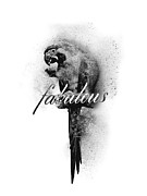 Fabulous Parrot Digital Art by Jacob Zelazny