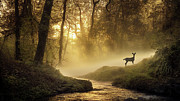 Face to Face Photograph by Bill Posner