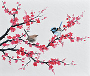Fairy Wrens and Japanese Cherry Blossom painting Painting by Jan Matson Fairy Wrens and Japanese Cherry Blossom painting Painting by Jan Matson