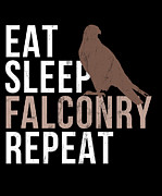 Falcon Trainer Eat Sleep Falconry Repeat Tee Drawing by Noirty Designs