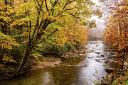 Fall and Fog on the Little River Photograph by Jimmy Pappas