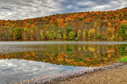 Fall at Ramapo Photograph by Penny Polakoff