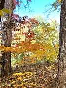 Fall Beauty Photograph by Merle Grenz