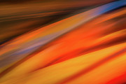 Fall Canoes Photograph by Ursula Abresch