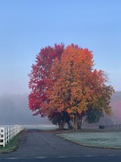 Fall Fog Painting by AList Art Gallery