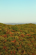Fall Foliage Photograph by Lens Art Photography By Larry Trager